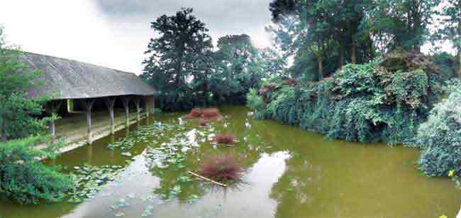 Panoramique sources de vie